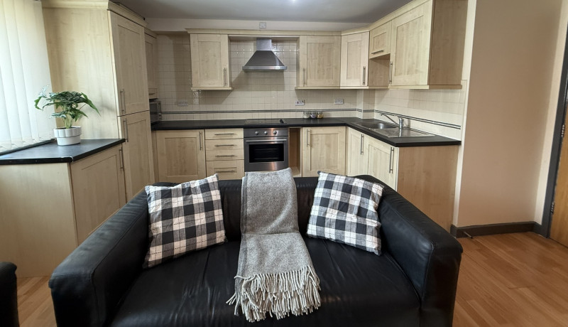 Living Area/Kitchen 